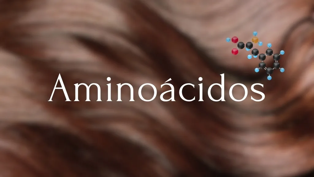 Reposição de Aminoácidos